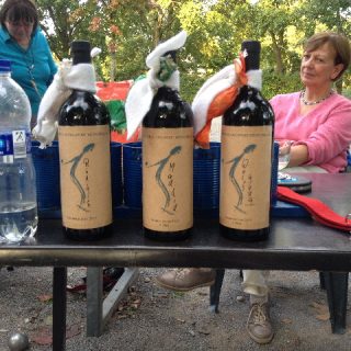 Vereinsmeister 2015-3